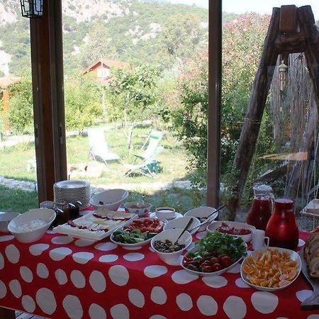 Villa Iz Çıralı 外观 照片